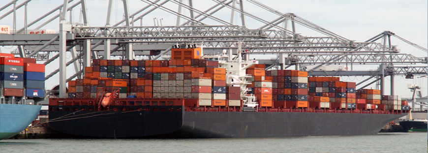Dubai Cargo Companies